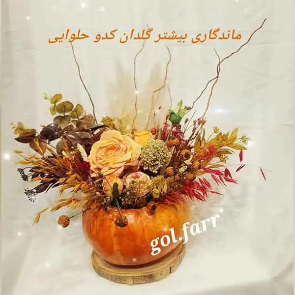 تصویر مرتبط با ایده‌های خلاقانه و کم‌هزینه برای تزیین کدو حلوایی شب یلدا