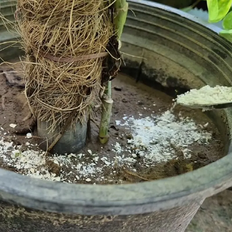 آسیاب کردن جو دوسر ساده برای تهیه محلول