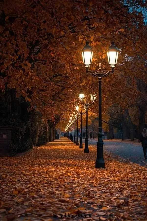 تصویر مرتبط با ۴۰ ایده جذاب عکس پاییزی برای پروفایل با حال و هوای خاص فصل