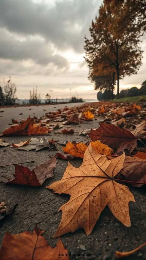 تصویر مرتبط با ۴۰ ایده جذاب عکس پاییزی برای پروفایل با حال و هوای خاص فصل