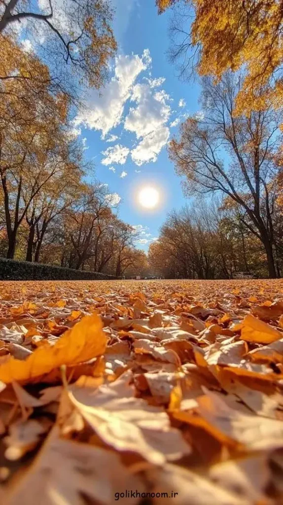 تصویر مرتبط با ۴۰ ایده جذاب عکس پاییزی برای پروفایل با حال و هوای خاص فصل