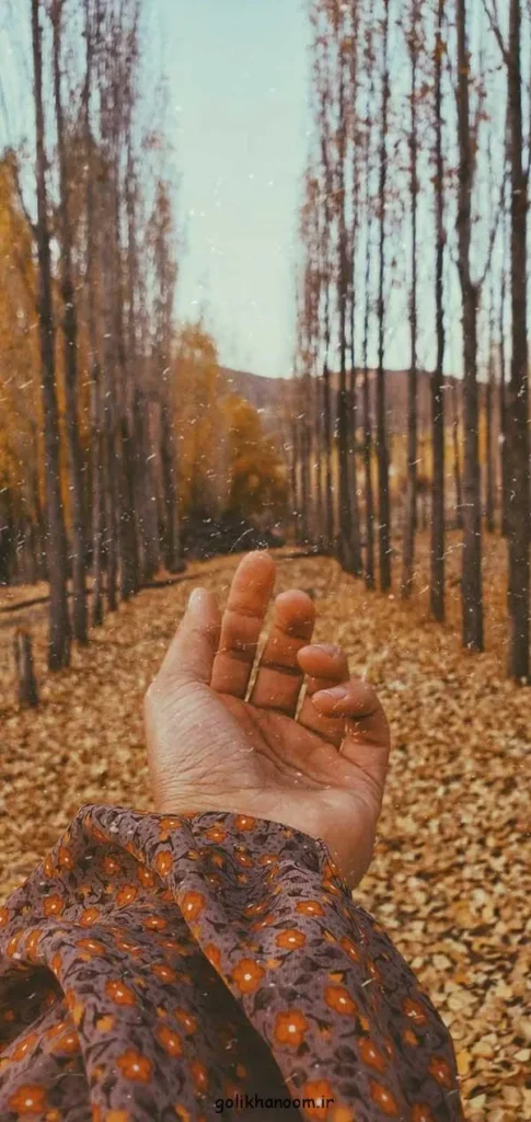 تصویر مرتبط با ۴۰ ایده جذاب عکس پاییزی برای پروفایل با حال و هوای خاص فصل
