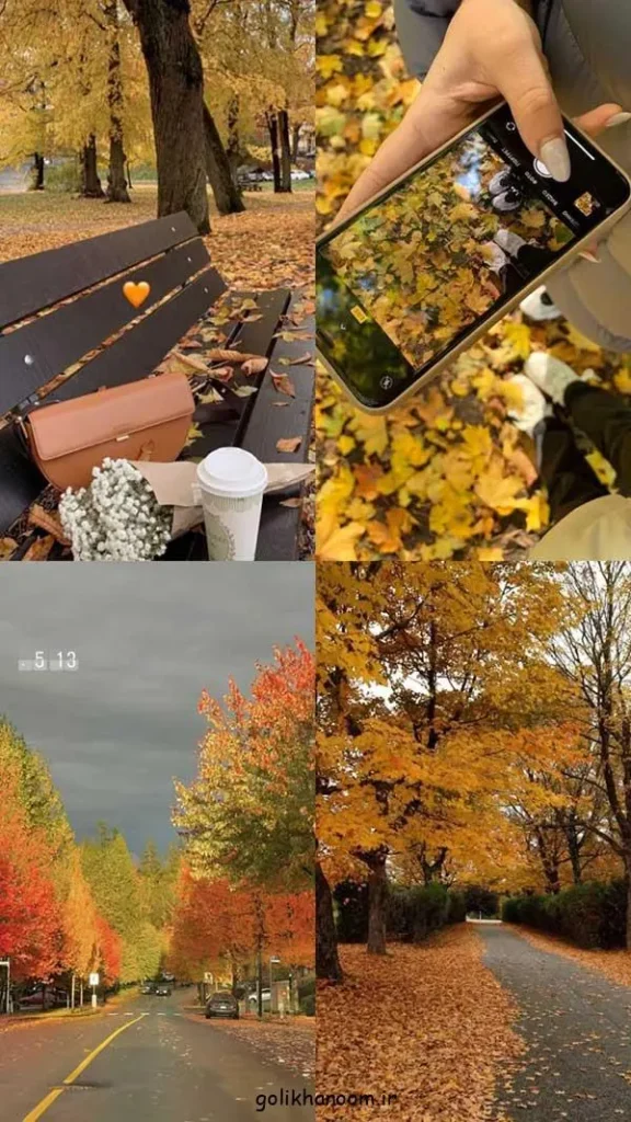 تصویر مرتبط با ۴۰ ایده جذاب عکس پاییزی برای پروفایل با حال و هوای خاص فصل