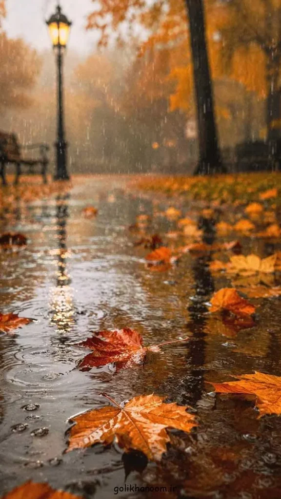 تصویر مرتبط با ۴۰ ایده جذاب عکس پاییزی برای پروفایل با حال و هوای خاص فصل