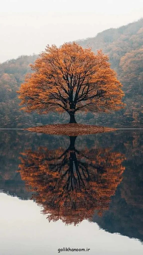 تصویر مرتبط با ۴۰ ایده جذاب عکس پاییزی برای پروفایل با حال و هوای خاص فصل