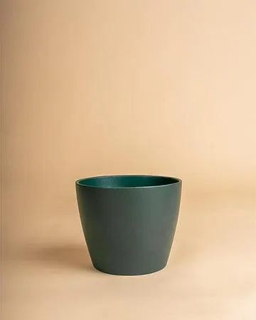 تصویر مرتبط با ۱۰ روش خلاقانه برای تبدیل گلدان ساده به اثر دکوری چشمگیر
