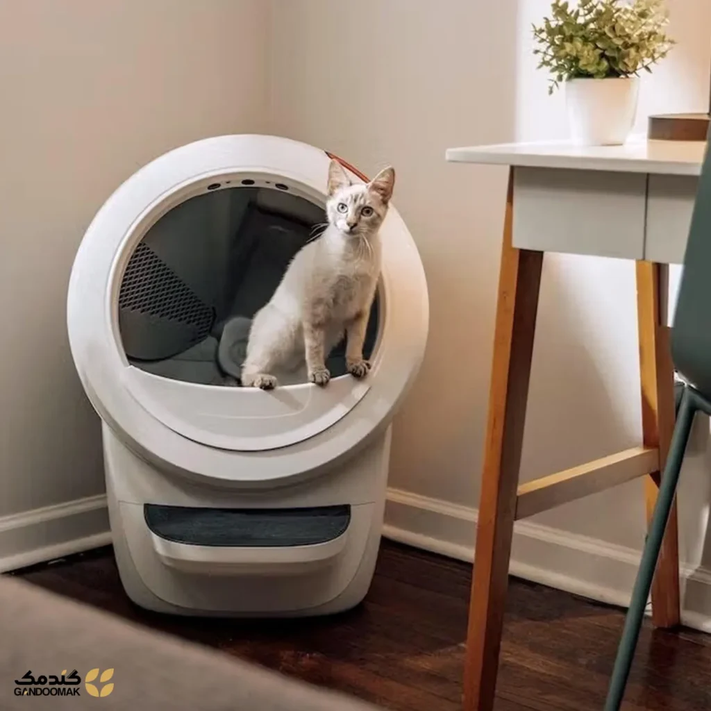 جعبه خاک خودکار مشکی Whisker Litter-Robot 4 با پله و حفاظ