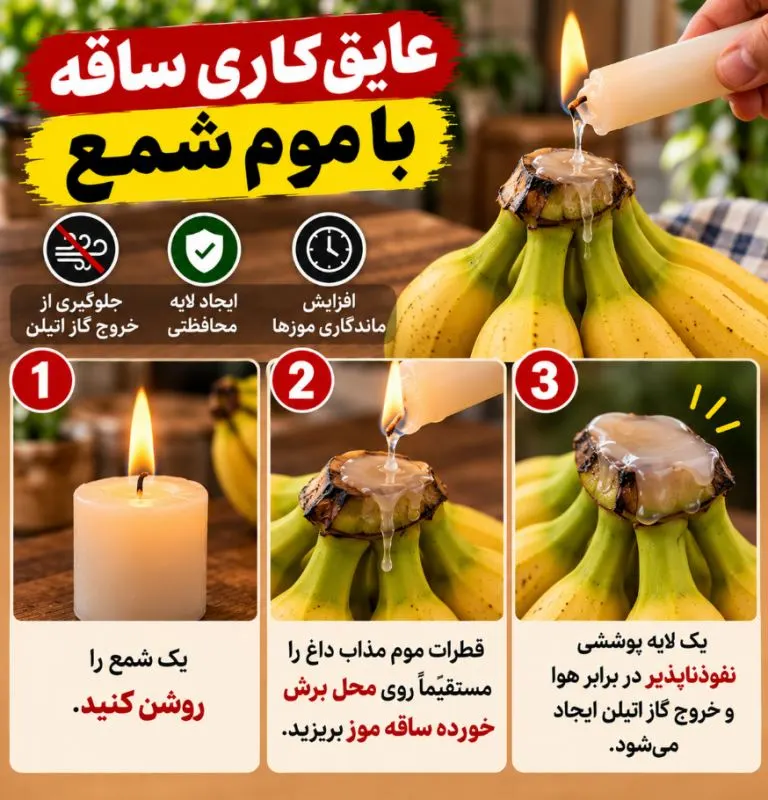تصویر مرتبط با روشهای موثر برای نگهداری طولانیمدت موز بدون سیاه شدن