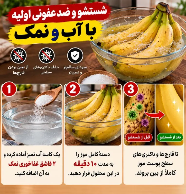 تصویر مرتبط با روشهای موثر برای نگهداری طولانیمدت موز بدون سیاه شدن
