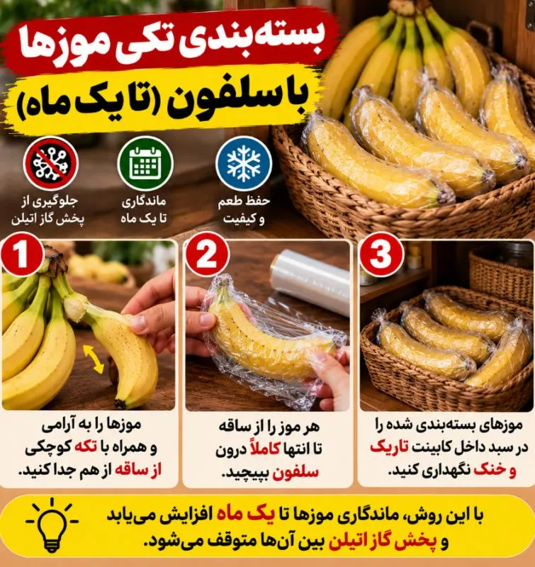 موزهایی که ساقه آنها با موم یا سلفون پوشانده شده است