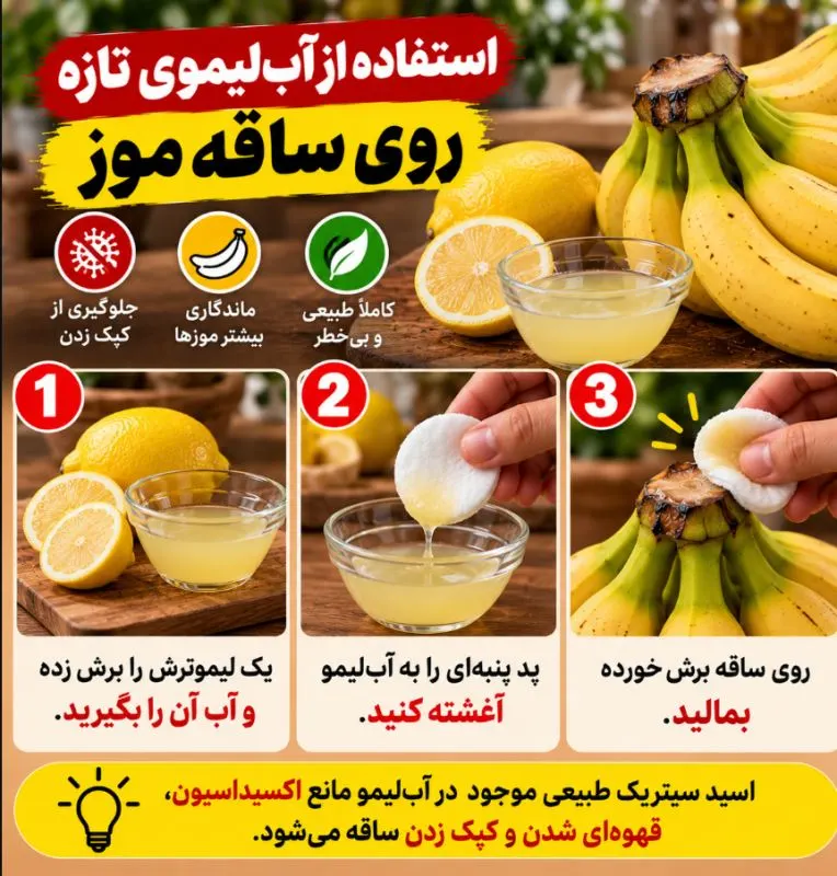 تصویر مرتبط با روشهای موثر برای نگهداری طولانیمدت موز بدون سیاه شدن