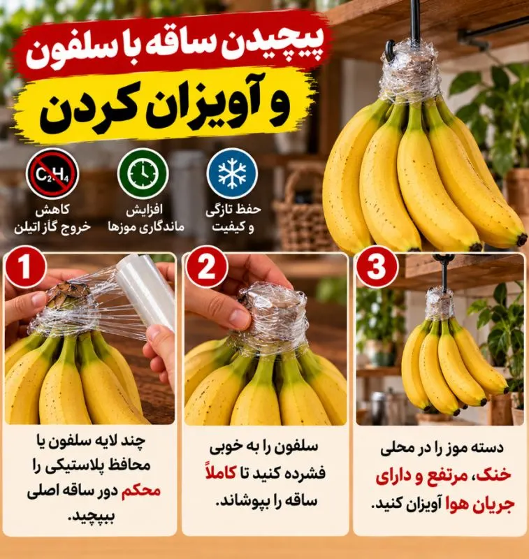 تصویر مرتبط با روشهای موثر برای نگهداری طولانیمدت موز بدون سیاه شدن