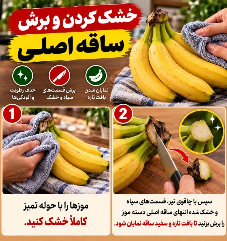 تصویر مرتبط با روشهای موثر برای نگهداری طولانیمدت موز بدون سیاه شدن