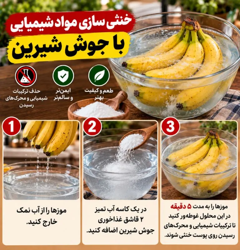 تصویر مرتبط با روشهای موثر برای نگهداری طولانیمدت موز بدون سیاه شدن