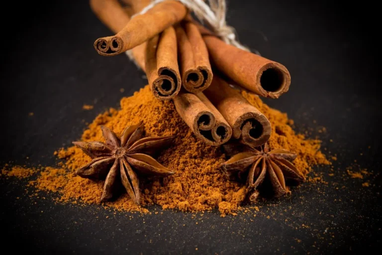 خواص بادیان برای بدن؛ گیاه بادیان و خواص درمانی آن برای بدن