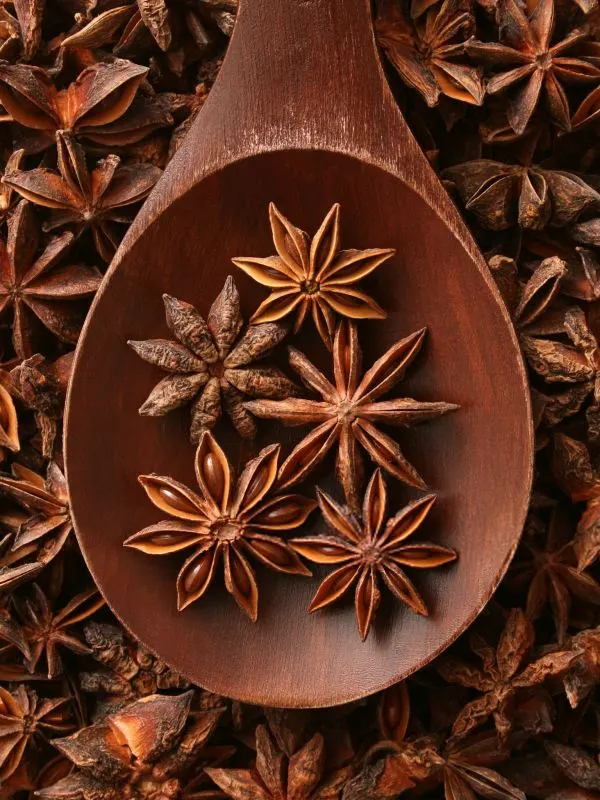 روغن بادیان برای رایحه درمانی