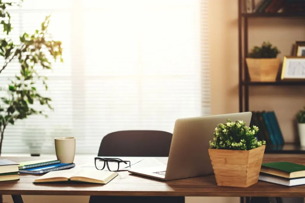 گیاهان مقاوم و مناسب برای میز کار در محیط اداری