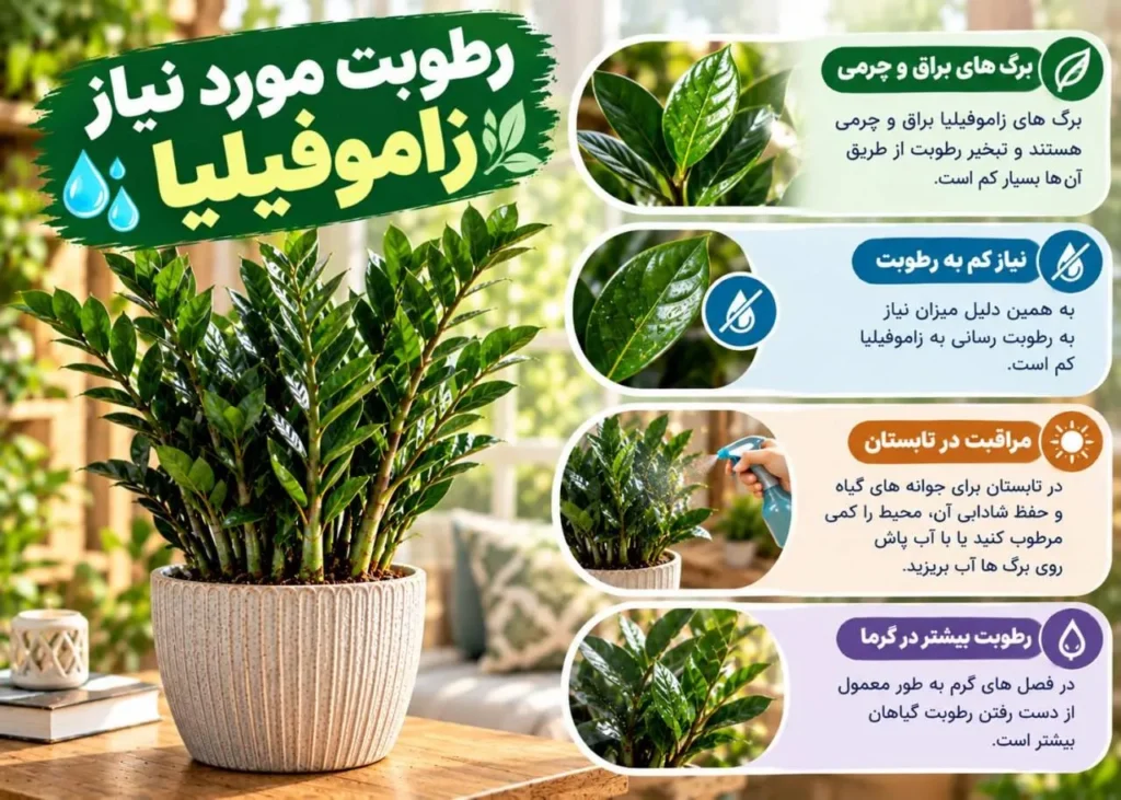 رطوبت مناسب فضای خانه برای زاموفیلیا