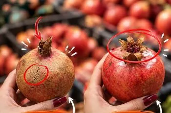 انتخاب بهترین میوه و صیفی جات؛ میوهها و صیفی جات تازه و باکیفیت در ب