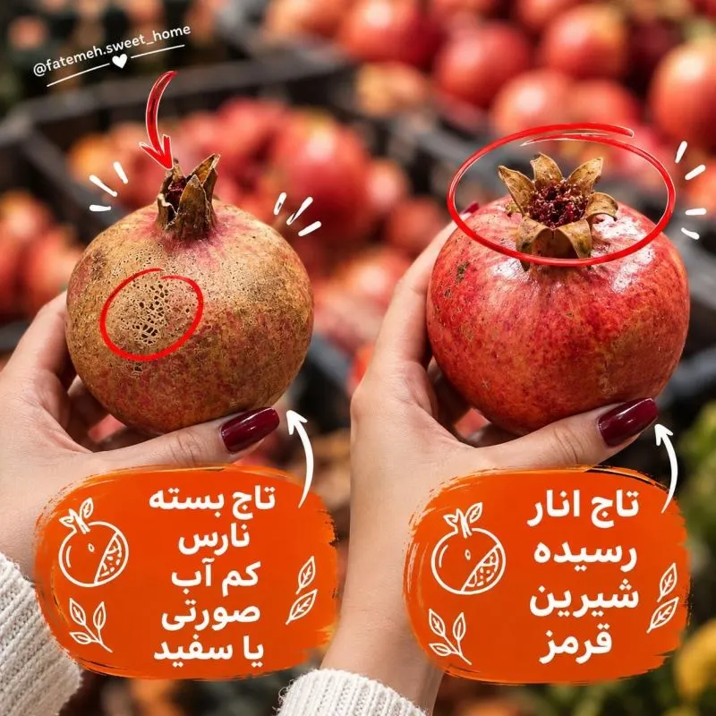 راهنمای انتخاب میوه و سبزیجات تازه و باکیفیت