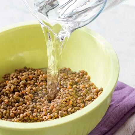 تصویر مرتبط با طرز تهیه دمپخت عدس و کلم شیرازی؛ غذای سنتی ساده و خوشعطر