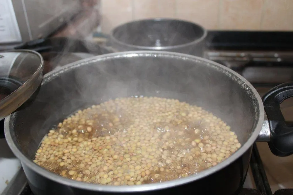 تصویر مرتبط با طرز تهیه دمپخت عدس و کلم شیرازی؛ غذای سنتی ساده و خوشعطر