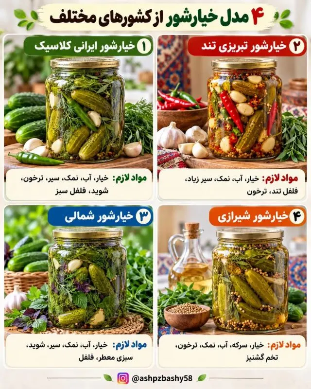 چندین مدل خیارشور از کشورهای مختلف؛ از تند تا شیرین و ادویه ای