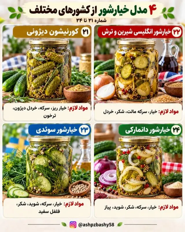 تصویر مرتبط با معرفی ۴۰ مدل خیارشور از طعمهای تند تا شیرین و ادویهای در جهان