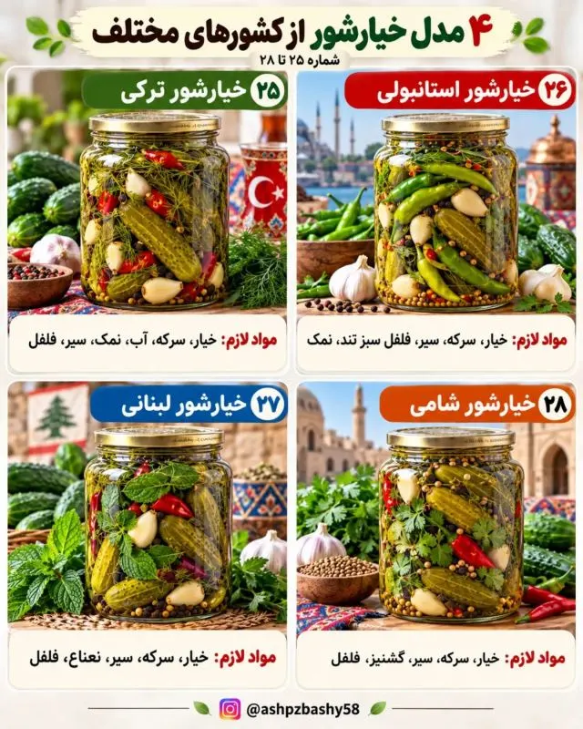 تصویر مرتبط با معرفی ۴۰ مدل خیارشور از طعمهای تند تا شیرین و ادویهای در جهان