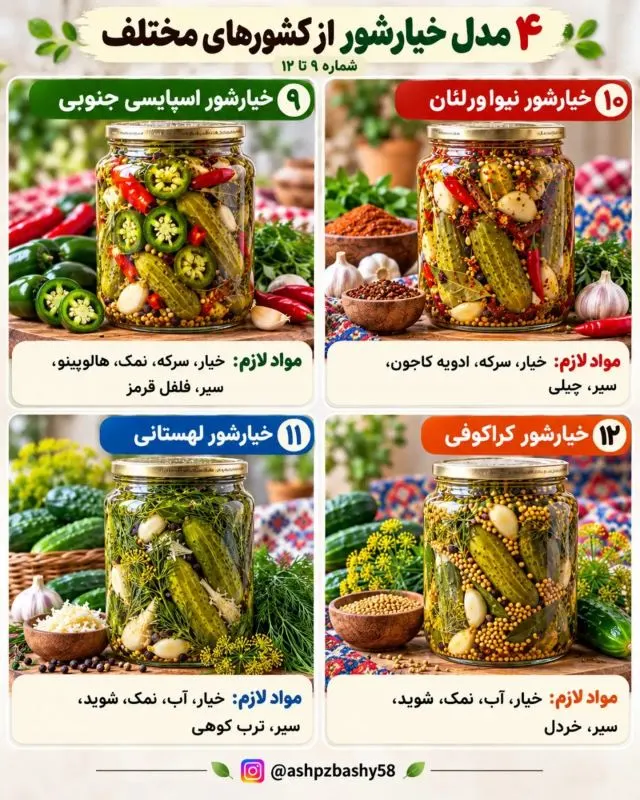 تصویر مرتبط با معرفی ۴۰ مدل خیارشور از طعمهای تند تا شیرین و ادویهای در جهان