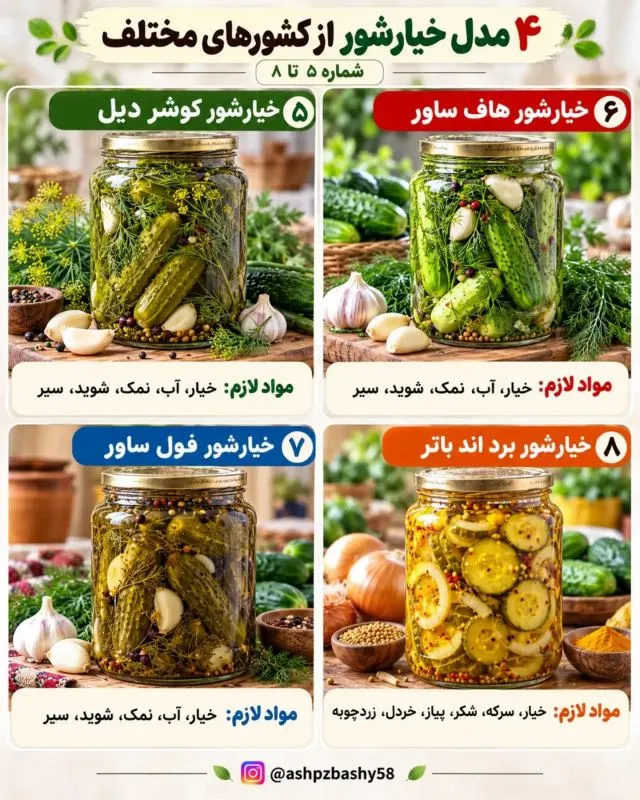 چندین مدل خیارشور از کشورهای مختلف؛ از تند تا شیرین و ادویه ای