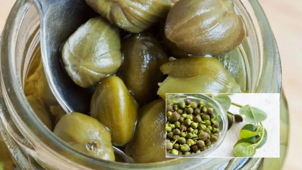 کاربرد کاپاریس در آشپزی