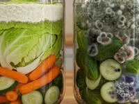 تصویر مرتبط با چگونه از کپک زدن ترشی جلوگیری کنیم و با ترشی کپک زده چه کنیم؟