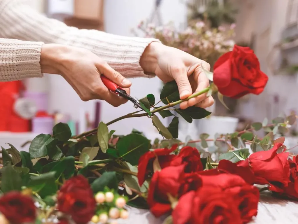 تصویر مرتبط با ۱۰ روش ساده برای تازه نگه داشتن گل رز شاخه بریده
