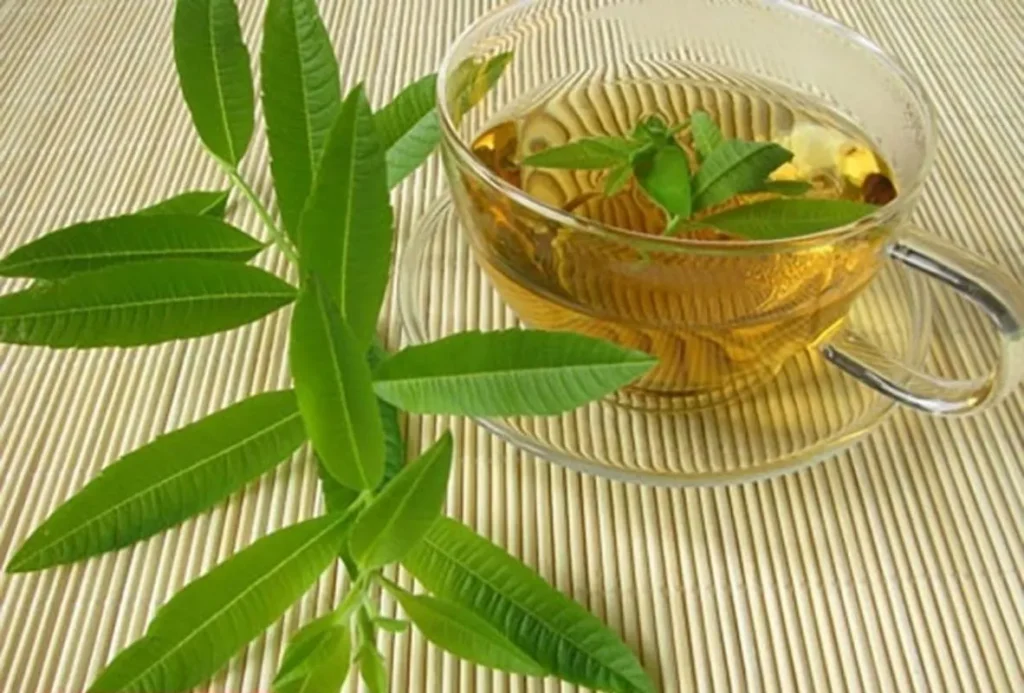 دمنوش به لیمو برای چه کسانی مضر است؟