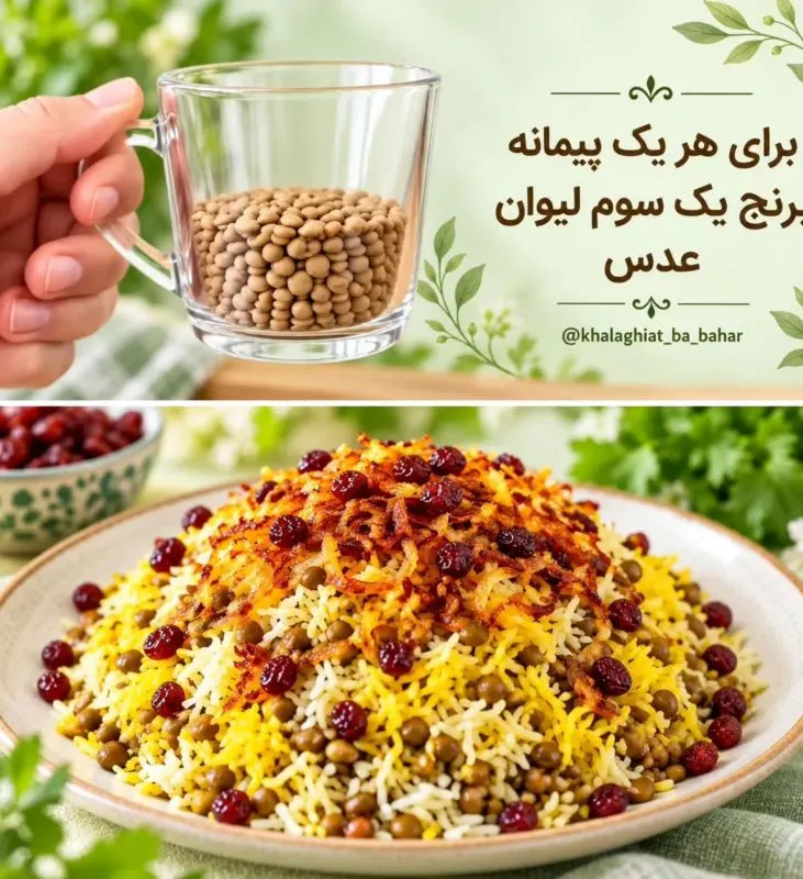 تصویر مرتبط با راهنمای دقیق میزان حبوبات برای هر نفر در غذاهای مختلف ایرانی