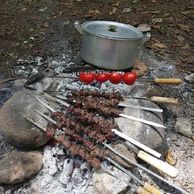 تصویر مرتبط با کباب ترش شمالی؛ طرز تهیه اصیل با رب انار و گردوی تازه