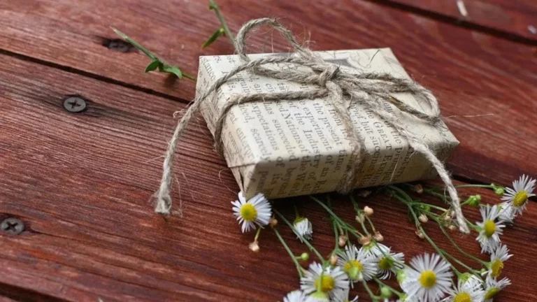 بسته بندی هدیه با روزنامه و شاخه خشک با ظاهری هنری و مینیمال