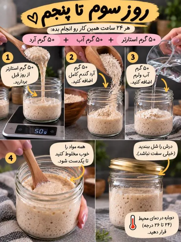 تصویر مرتبط با روش تهیه خمیر ترش خانگی با آرد و آب برای نانهای خوشطعم