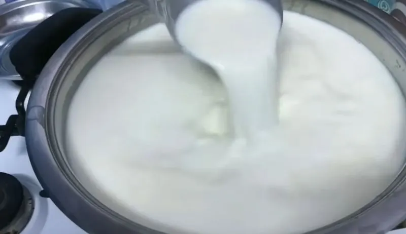 نمای نزدیک لایه سرشیر ضخیم و خامهای روی ماست پرچرب