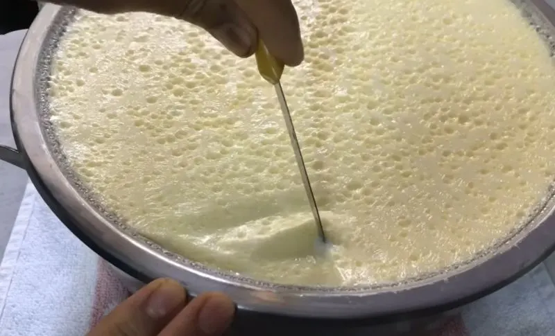 تصویر مرتبط با روش تهیه ماست پرچرب قالبی با سرشیر ضخیم و بدون آب انداختن
