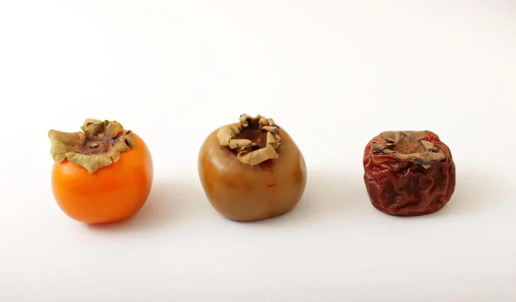خرمالوی سالم و کپک زده