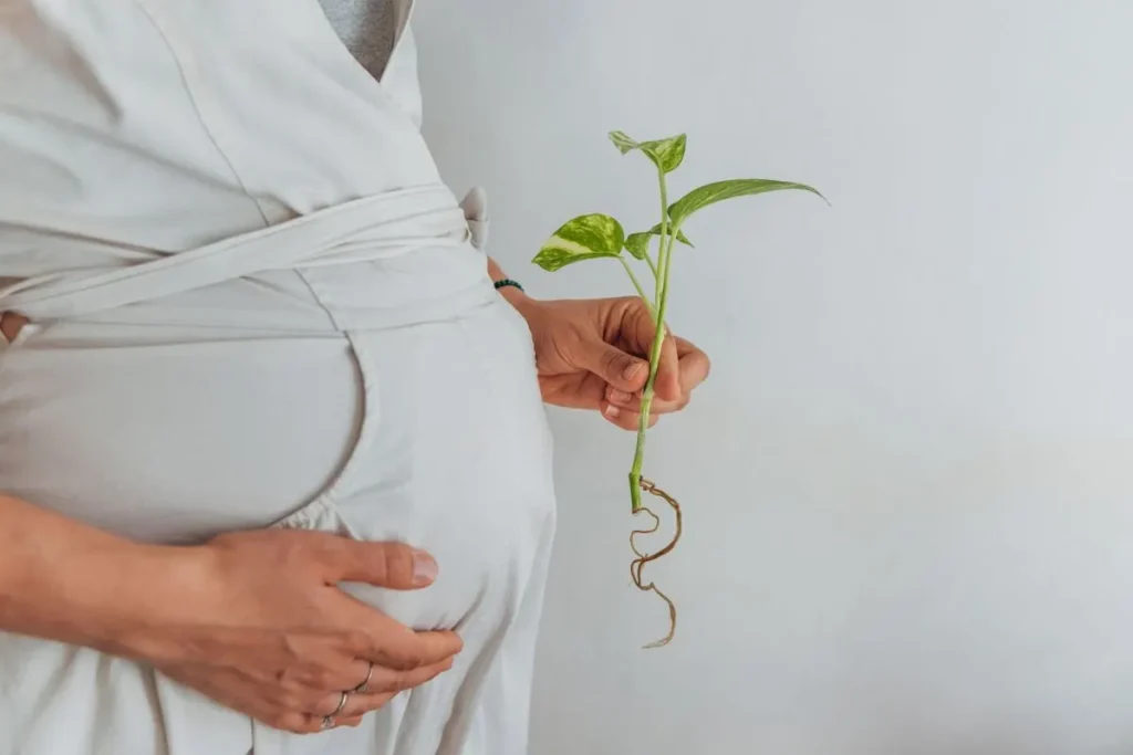 استفاده از مرطوب کننده برای پوست بارداری