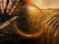 معنای ضرب المثل هرچه بکاری همان را درو می کنی