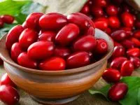 زغال اخته تازه و خشک شده کنار هم