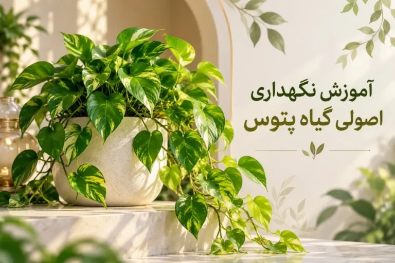 نگهداری گیاه پتوس؛ گیاه پتوس سبز و شاداب در گلدان داخل خانه