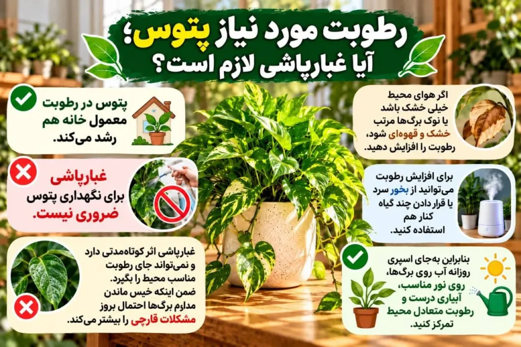 افزایش رطوبت اطراف پتوس با دستگاه بخور سرد