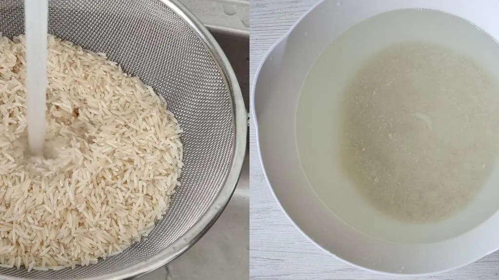 تصویر مرتبط با طرز تهیه شوید پلو با تن ماهی به سبک بندری؛ غذایی خوشطعم و سریع