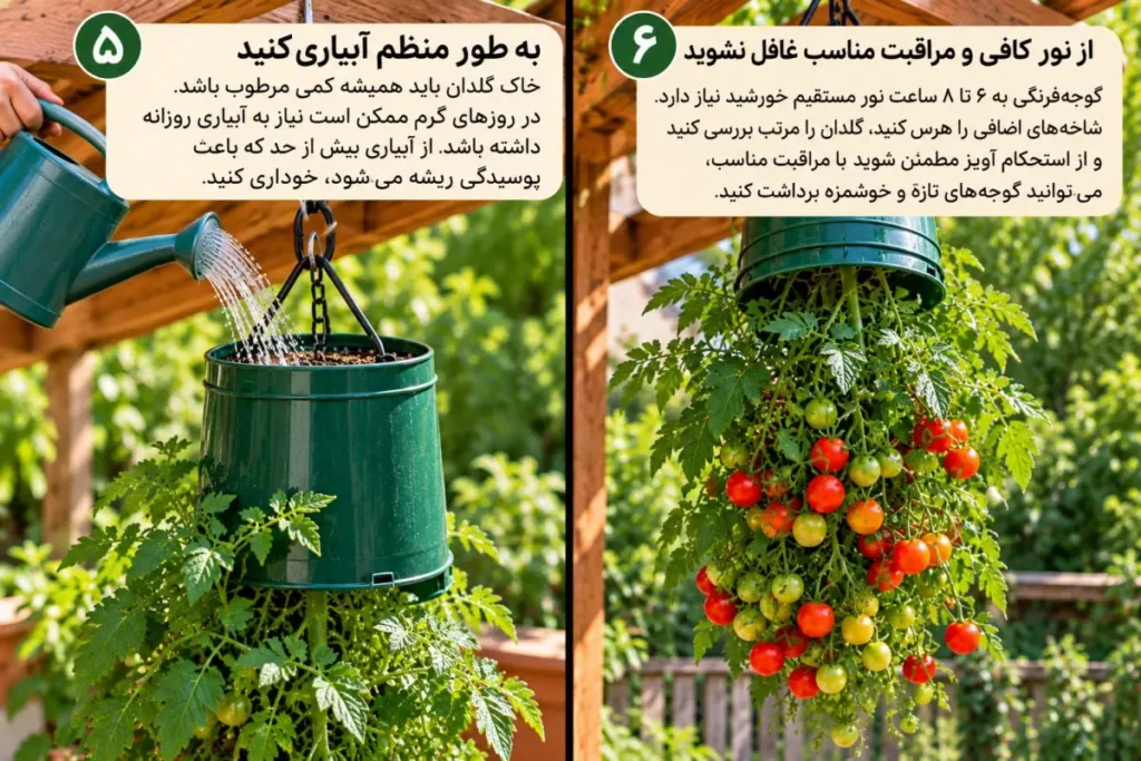 دست در حال چیدن گوجه فرنگی تازه از گلدان وارونه