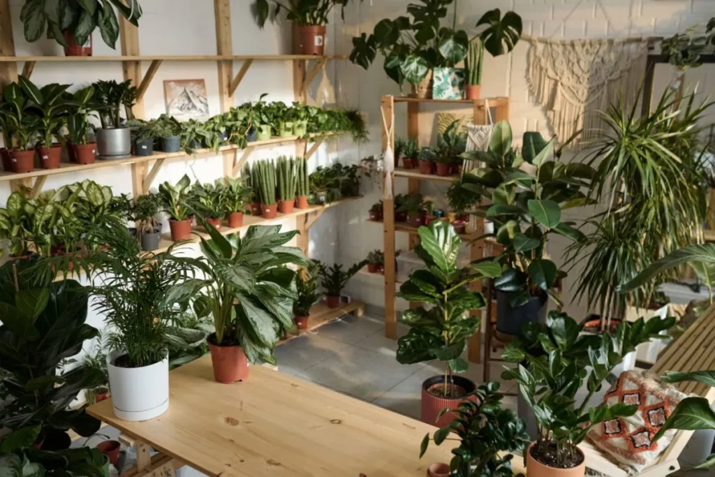 ترکیب رنگ‌های طبیعی در دکوراسیون